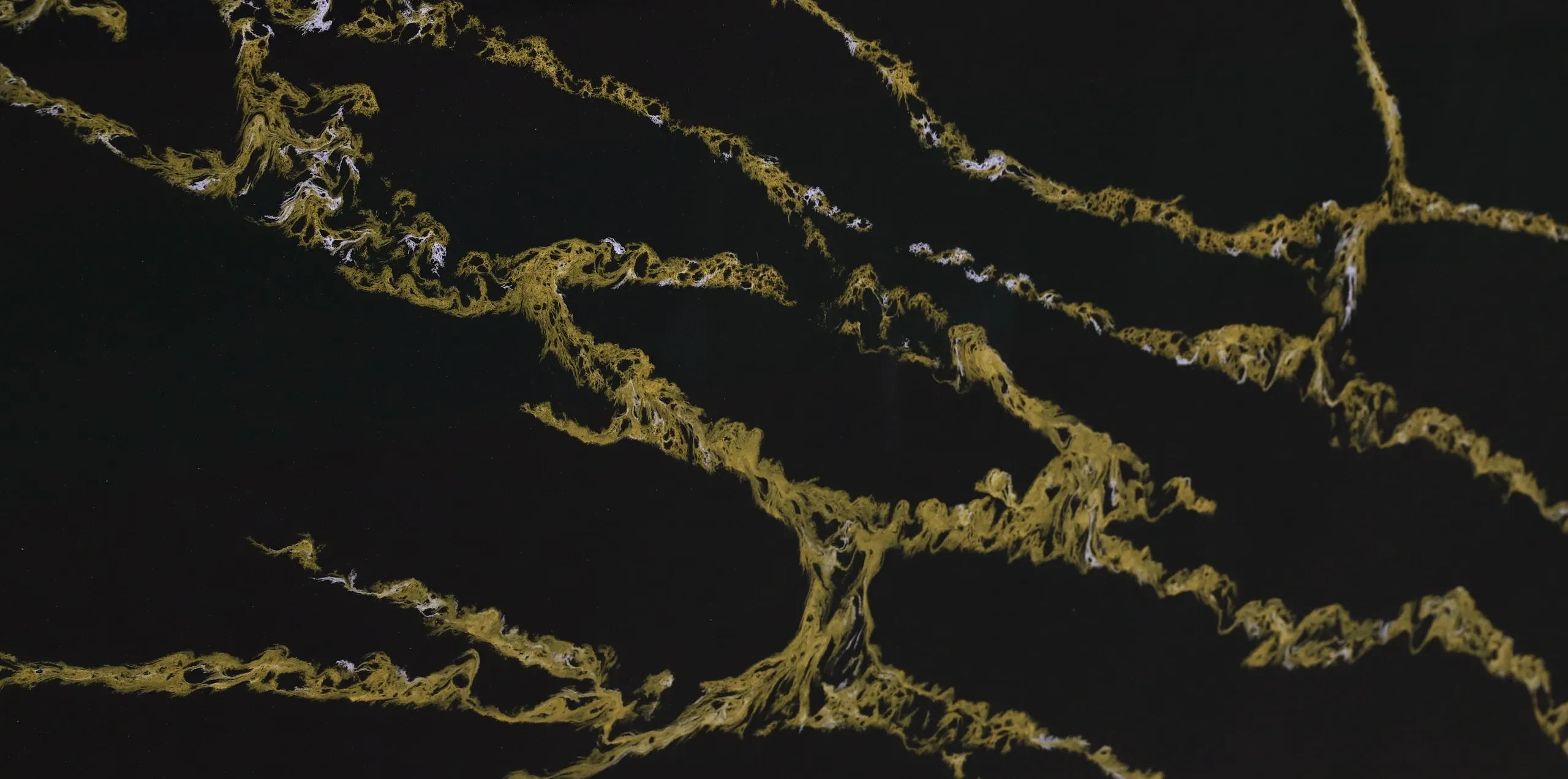 TC 533 Midnight Gold